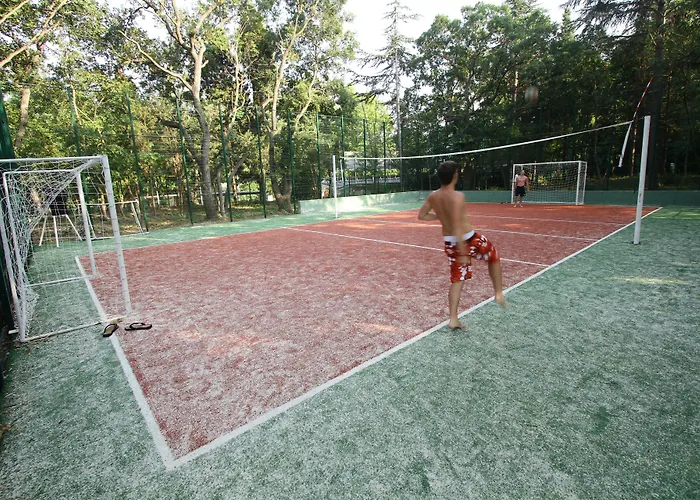 Sh Dolce גולדן סנדס