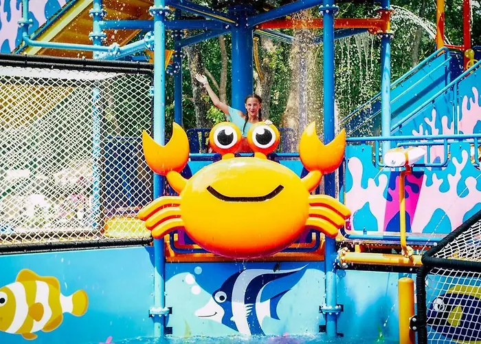 Sh Dolce גולדן סנדס